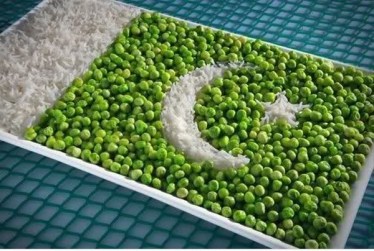 foodflag-pakistan